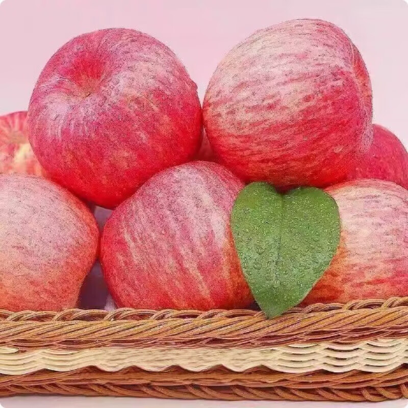 West Shaanxi Yan'an Luochuan Red Fuji 10 catties packed apples fresh fruits crisp sweet seasonal fruits seasonal fresh fruit with box 5 catties medium fruit