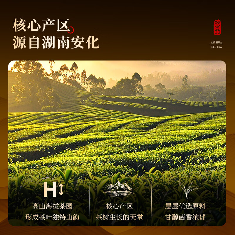 Qichun Anhua Dark Tea Special Grade Tianfu Brick Hunan 2014 Jinhua Fu Brick Tea 1kg New Year’s Gift Box for Elders