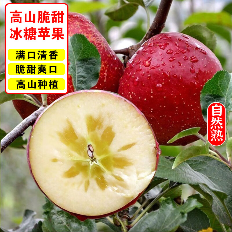 Daliangshan Apple, Yanyuan Apple, Rock Candy Heart Apple, Fruit Gift Box, Straight from the Source, 8 catties, 20-24 pcs, 70-75mm