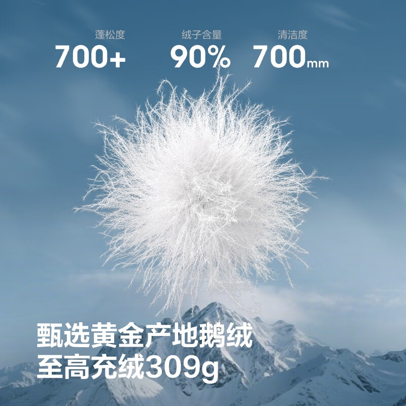 Bosideng 25 Years Winter Extreme Cold Goose Jacket Men's Winter Thickened Hooded Mid-Length Warm Mall Same Style Down