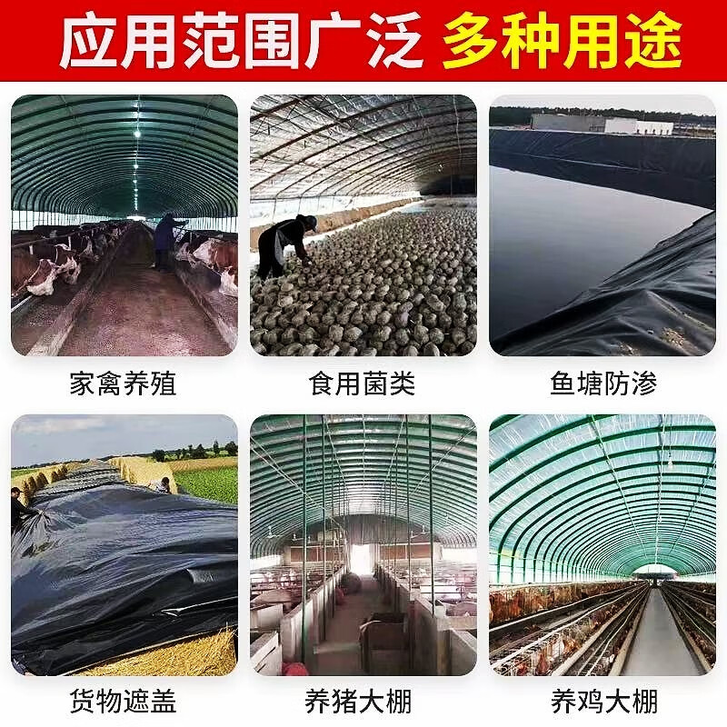 QINGERPLR thickened black and white film greenhouse special imported film breeding sunscreen insulation film waterproof large shed film 12s 10 meters wide