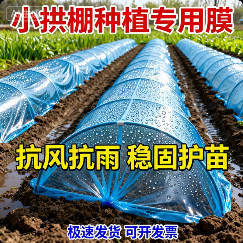 Agricultural plastic film, small shed film, dripping film, special film for greenhouse planting, transparent vegetable growing plastic, thermal insulation and cold protection 4 silk blue dripping film, new material 6.5m*10m