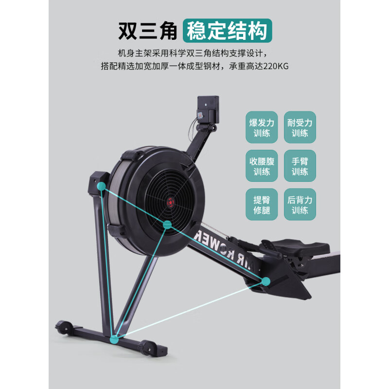 Yixuan Wind Resistance Rowing Machine Silent C2 Indoor Rowing Household Intelligent Wind Resistance Rowing Machine Commercial Gym Equipment Black Model