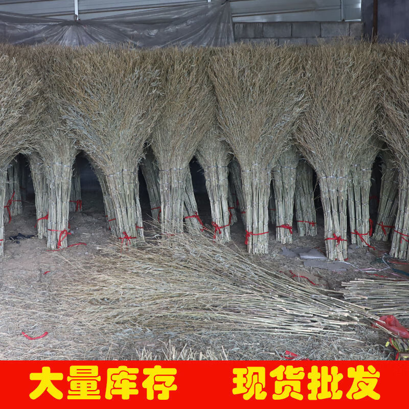 Outdoor broom, hard-bristle sanitation bamboo broom, large bamboo road sweeping, bamboo household sweeping, yard small broom, bamboo handle, small size, 1.2 meters