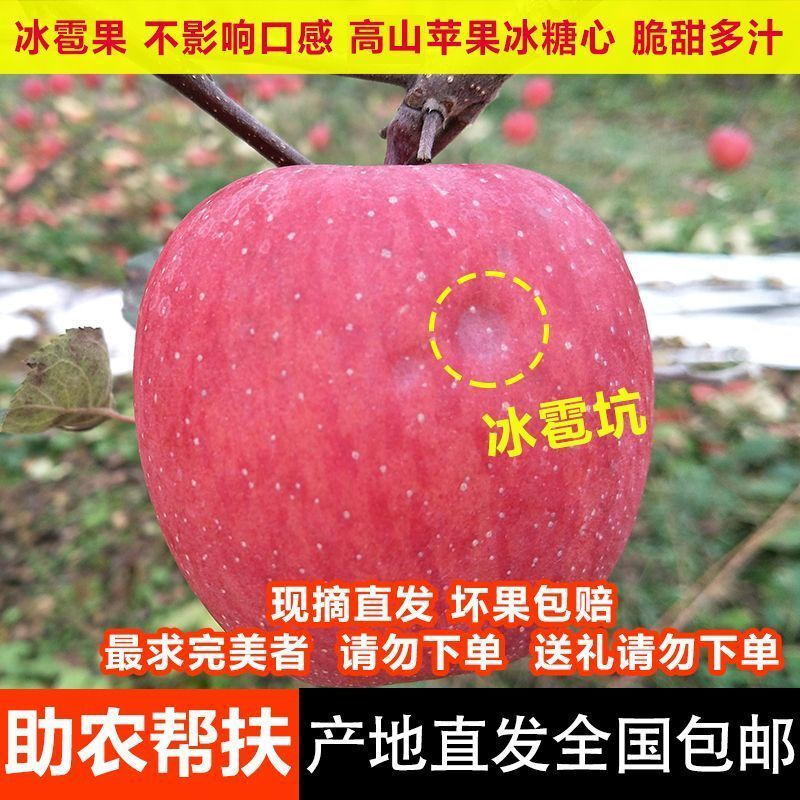 Shandong ugly apples, high quality, slightly blemished, red, Fuji, clearance, special price to assist farmers, 25025, picked in season, 4 pieces (from 75mm), very cost-effective, please be careful when bidding.