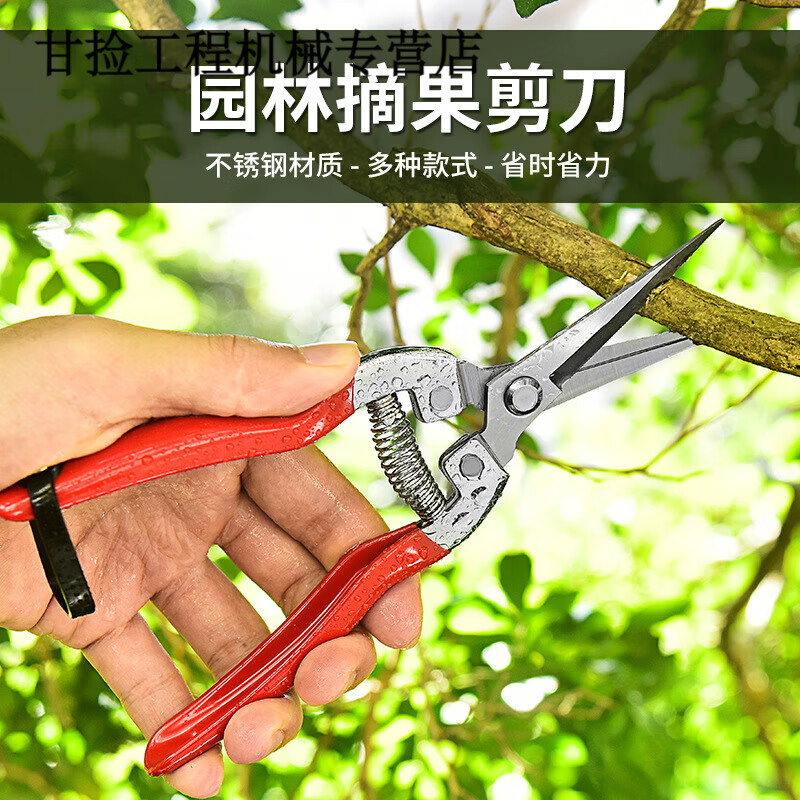 Qiaobolainong helper fruit picking scissors, fruit thinning scissors, grape flower thinning scissors, flower pruning scissors, citrus pepper special fruit picking scissors, straight head dipping scissors