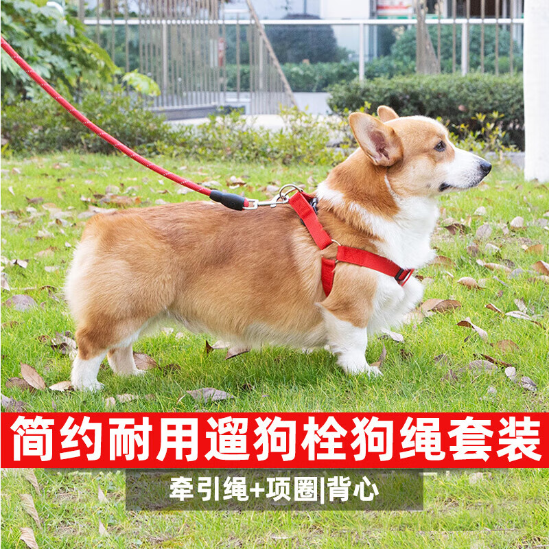 Jingchuan Asahi dog leash, dog collar, one-piece dog walking leash, special wear-resistant, comfortable and explosion-proof dog leash for large, medium and small dogs. Red three-piece set with rope length 3 meters + collar + chest and back M- 12-25 catties
