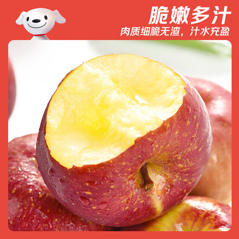 Jingxiansheng Yunnan Zhaotong Rock Candy Chou Apple, net weight 4.5kg, single fruit 70mm+, free shipping directly from the source