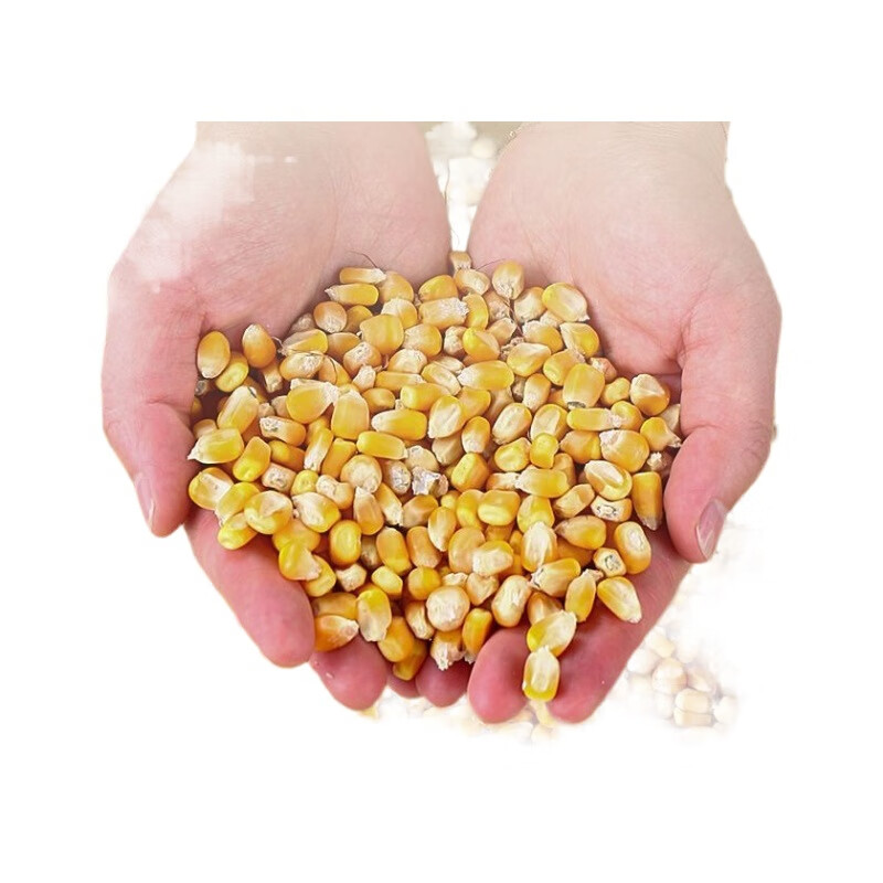 Kaosen electric corn thresher is a household small fully automatic threshing machine, which is used to peel corn and peel corn for lazy people. A fully automatic high-speed threshing machine (without electric drill)