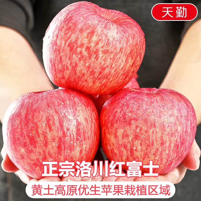 Jingdida Shaanxi Luochuan apple gift box fruit gift box high-end gift box net weight 6 pounds single fruit 190g + direct from source