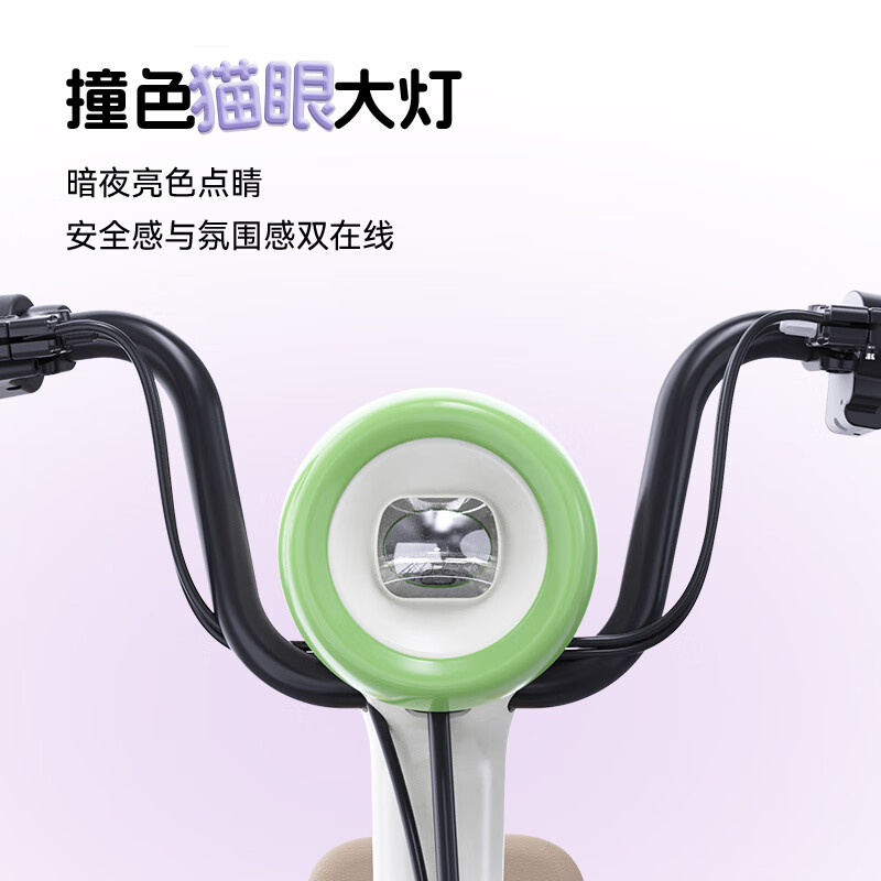 Luyuan Beijing Exclusive Carel 11 New and New National Standard Electric Bicycle Smart and Cost-Effective Electric Vehicle Adult Commuting Small and Licensed Electric Bicycle Go to the store to choose the color