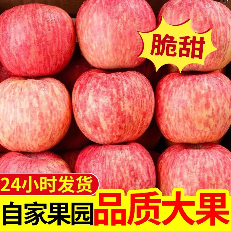 Yantai Red Fuji Apple Crisp, sweet and juicy fresh fruit Qixia Apple Authentic Yantai Red Fuji 8.5 catties - single fruit over 80mm