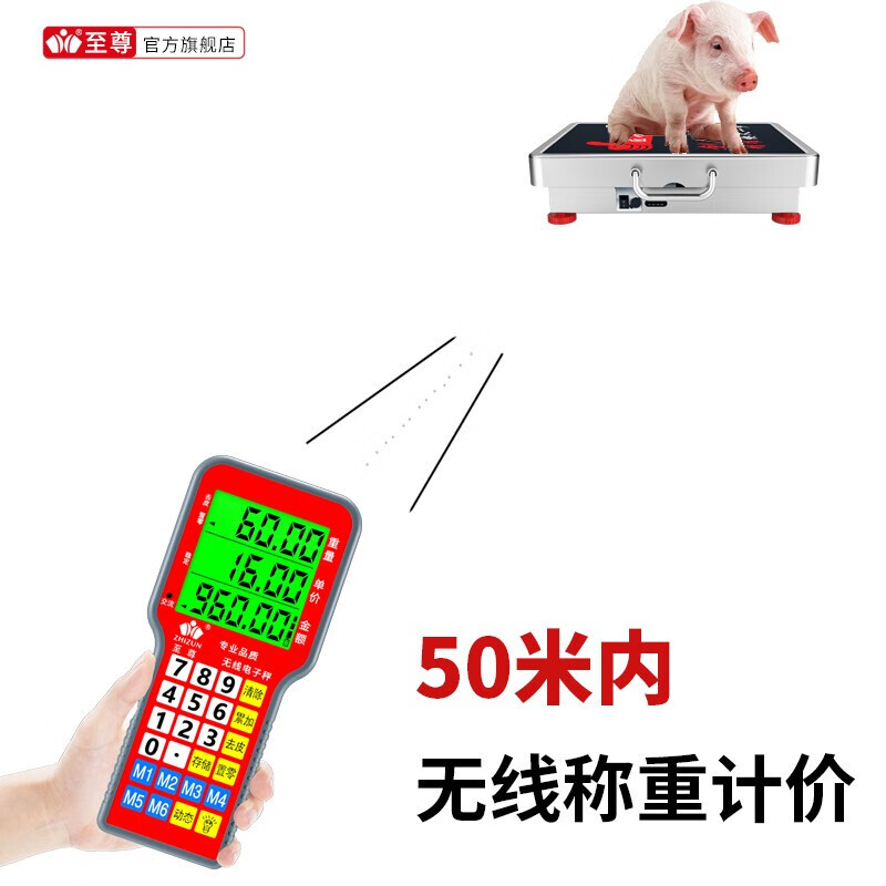 Zhizun (ZHIZUN) wireless weighing electronic scale for business use, portable detachable portable scale for collecting grain and waste in the countryside, express delivery scale