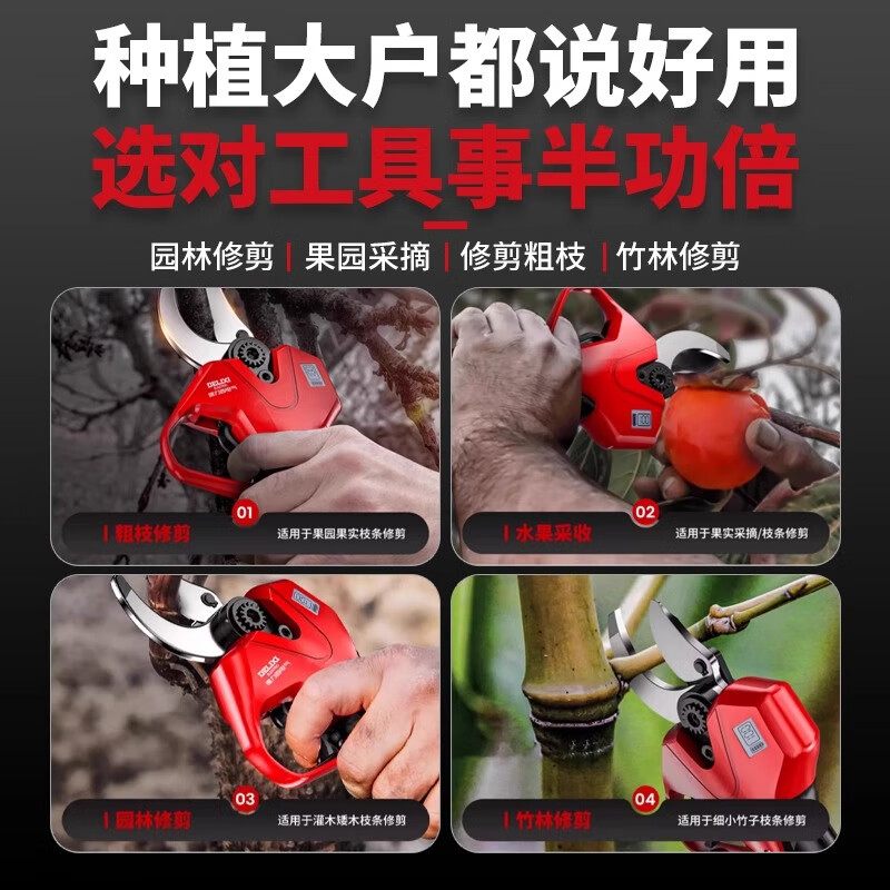 Delixi Electric Electric Scissors Rechargeable Branch Fruit Tree Garden Pruning Scissors Lithium-ion Special Pruning Artifact with 170cm Extension Rod Brushless Speed Cut Model 4.0 One Charge One Charge