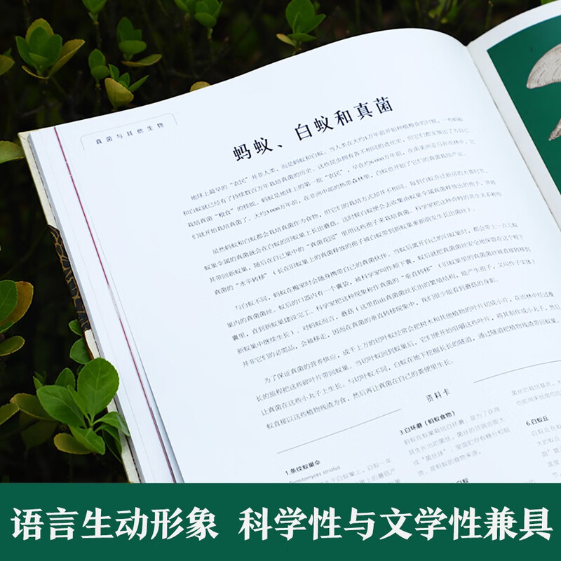 Museum of Miracles Series Mushroom Museum Fun 7-year-old + Children's Popular Science Encyclopedia Primary School Students Extracurricular Reading Book Revealing the Secrets of Fungi