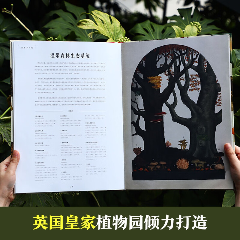 Museum of Miracles Series Mushroom Museum Fun 7-year-old + Children's Popular Science Encyclopedia Primary School Students Extracurricular Reading Book Revealing the Secrets of Fungi