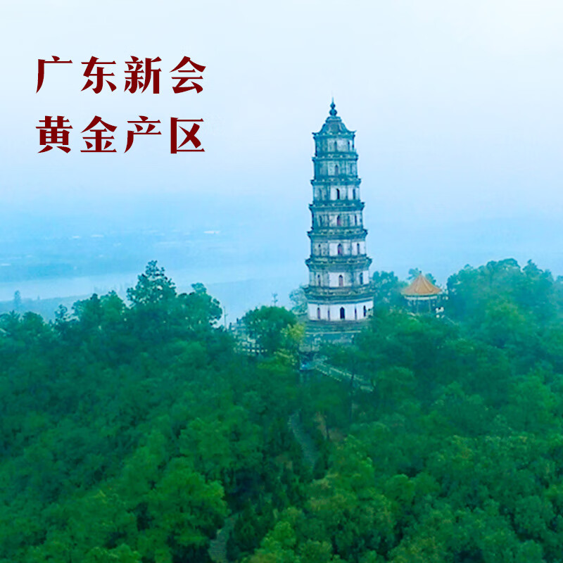 Bama Tea Chenpi Guangdong Xinhui 6-year tangerine peel 70g sealed can