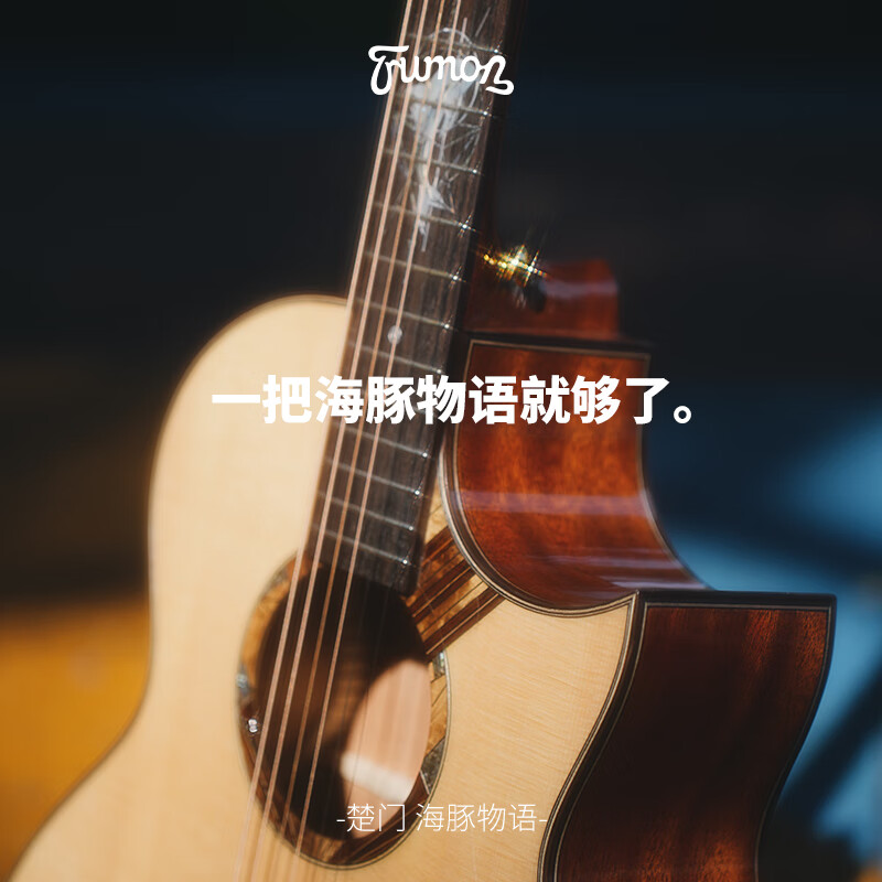 Truman Truman Guitar 150 280 Dolphin Story comprehensive single-board folk guitar for beginners and advanced 41-inch acoustic guitar Dolphin Story 1955TFL pointed corner