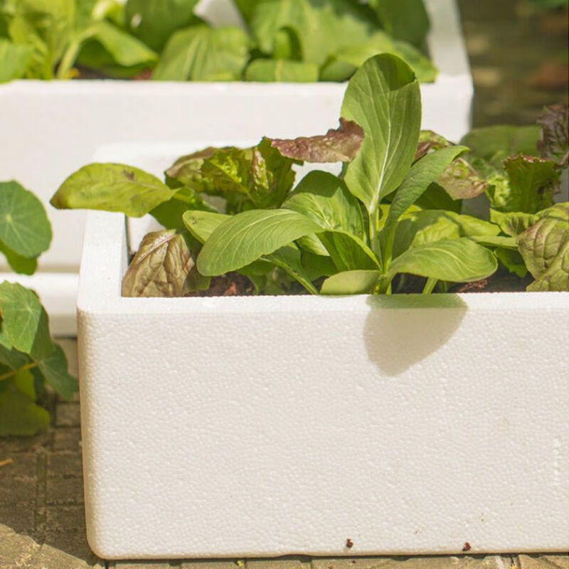 Vegetable plant planting extra large foam box warehouse indoor vegetable growing box household flower and vegetable special foam box rectangular flower pot store hot sale medium planting box thickened * 3