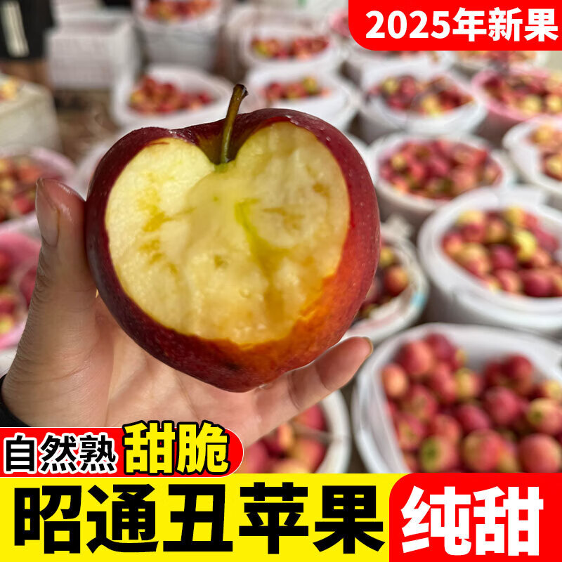 2025 Authentic Yunnan Zhaotong Rock Candy Apple Fresh Fruit Apple Seasonal Crisp Sweet Fruit Origin Straight Hair 5 Jin Packed Large Fruit (80-90mm)