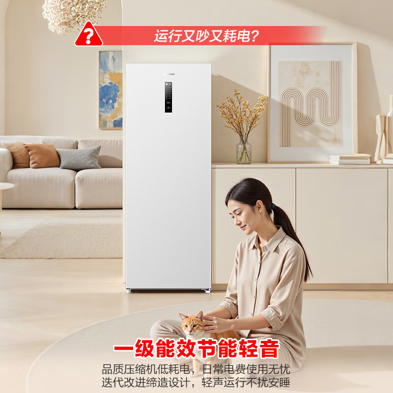 Ronshen Sugar Cube 201L Vertical Household Freezer Refrigerator-40 Deep Freezing First Level Energy Efficiency Antibacterial and Deodorizing Intelligent Standing Cabinet BD-201E30LNLAD