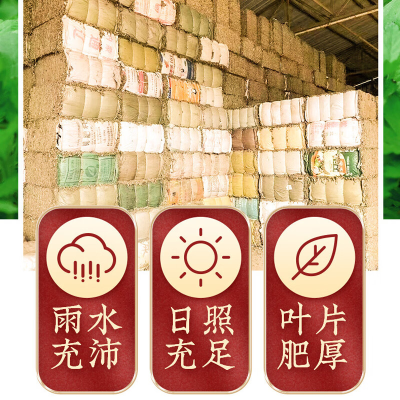 Taiyi Bian's moxibustion box uses aged moxibustion sticks, gold moxa sticks, moxa velvet moxibustion sticks, pure handmade graphite moxa sticks, moxibustion sticks