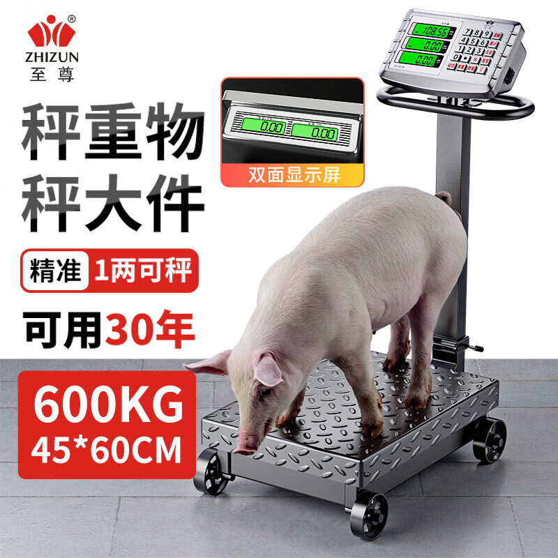 Zhizun (ZHIZUN) weighing electronic scale 300-500 kg commercial scale for business use platform scale to weigh waste and foldable scale