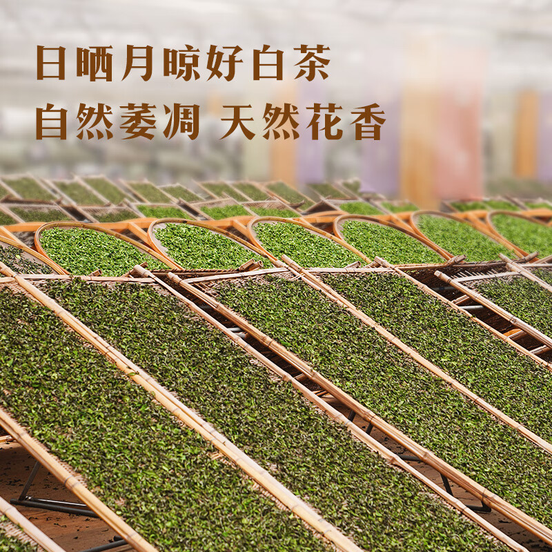 Bama Tea Double Tibetan Fuding White Tea Combination White Peony Shoumei 400g Gift Box Tea for Gifting