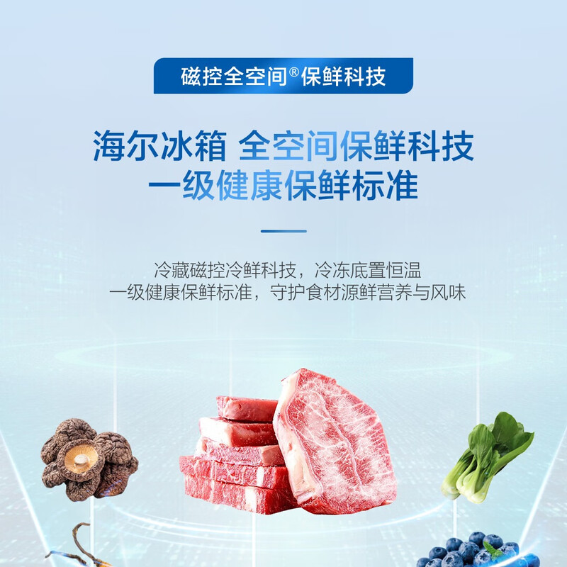 Haier Dual System 25 Years New Refrigerator 609L Refrigerator Magnetic Controlled Full Space Freshness Ai Intelligent Clean 31 dB Ultra Silent Refrigeration and Freezing Dual Sterilization Fully Automatic Ice Making 609 Dual System 609L Magnetic Controlled Freshness + Automatic Ice Making + Fully Automatic Ice Making