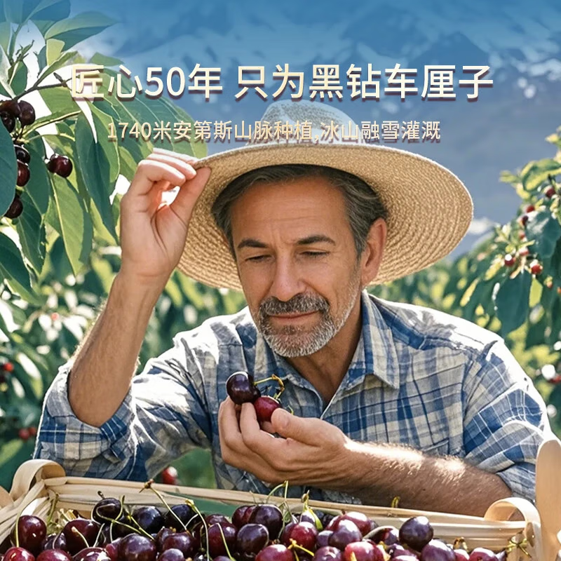 Fourth Uncle Fruits and Vegetables Chilean Cherries JD - Next Day Delivery to Many Places Cherries 3j4j Grade New Year's Gift Box Fruit Gift Box 3kg (net weight) Value Pack - 80% Select Delicious Gift Box* Luxurious Grade Crisp and Sweet 4J Black Diamond Fruit King 32-34mm