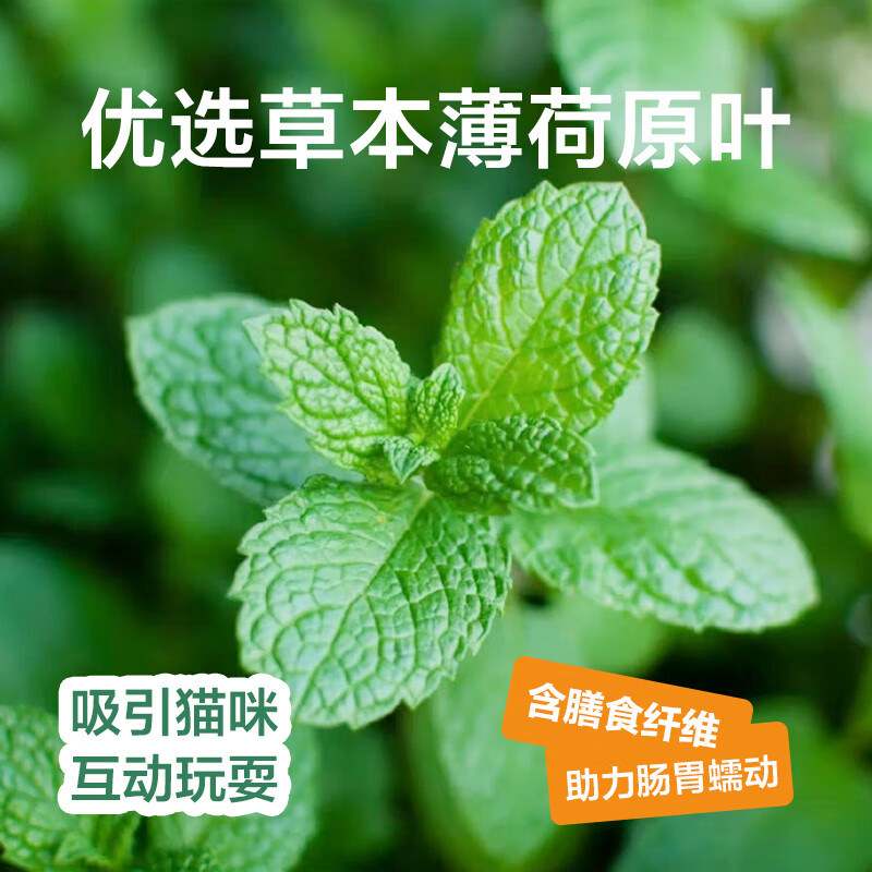 NetEase carefully selects cat mint biscuits for kittens and adult cats, cat snack biscuits, rabbit meat and krill flavor 95g