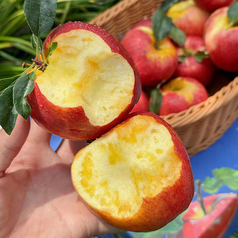 Authentic Yunnan Zhaotong Rock Candy Heart-Ugly Apple Fresh Fruit Zhaotong Apple Seasonal Crisp Sweet Fruit Origin Straight Hair 5 Jin 80-85mm Large Fruit l High Cost Performance