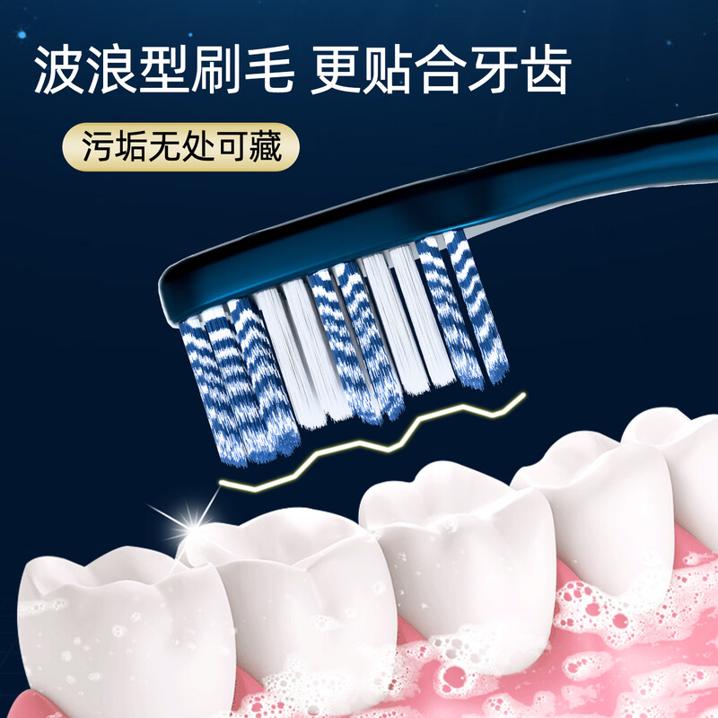 BRUSHING BEAR medium-hard bristle toothbrush Sam's same spiral brush wire to remove tooth stains for adults, home decoration, household men and women, 6 pieces