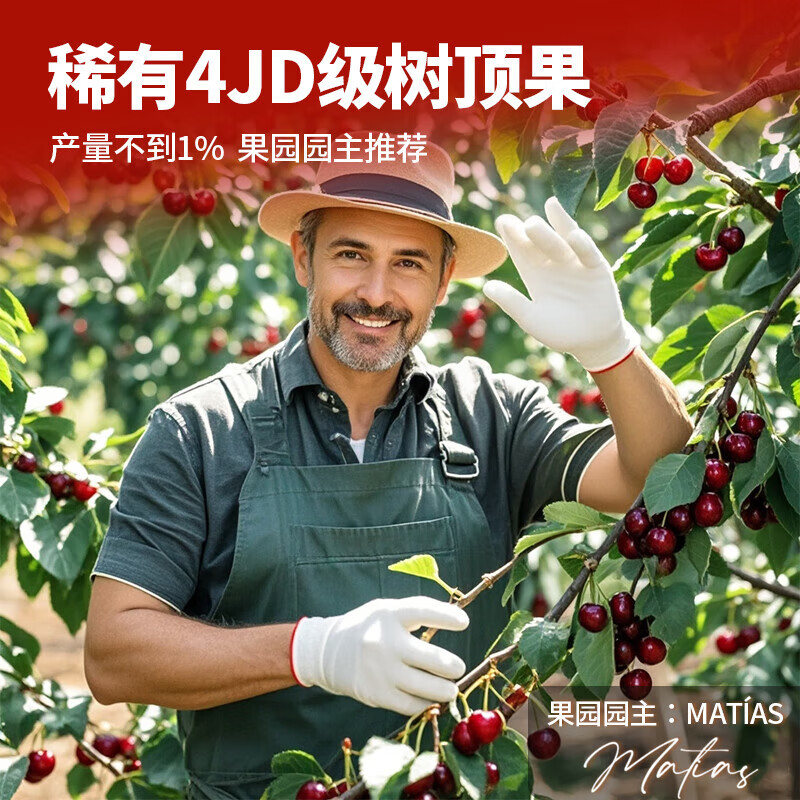 Uncle Sam Chilean Cherries JD-Next Day Delivery to Many Places 4J Grade Imported Cherry Fruit Gift Box New Year's Gift Box 3kg (Net Weight) 80% Choice - Great Deals Delicious Gift Box Top Version | Crispy and Sweet 4J Super Big Mac Fruit 32-34mm