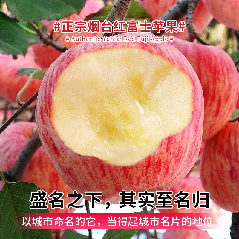 Yantai Red Fuji Apple Crisp, sweet and juicy fresh fruit Qixia Apple Authentic Yantai Red Fuji 8.5 catties - single fruit over 80mm