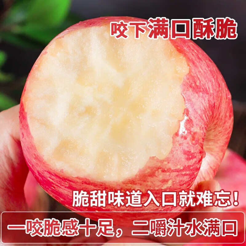 Yantai Red Fuji Apple Crisp, sweet and juicy fresh fruit Qixia Apple Authentic Yantai Red Fuji 8.5 catties - single fruit over 80mm