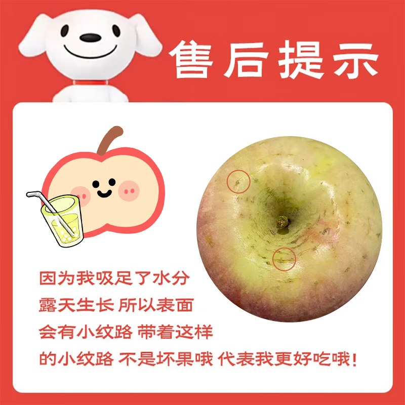 Jingxiansheng Shaanxi Red Fuji Apple, net weight 8 pounds, single fruit 75mm+, fresh fruit, straight from the source