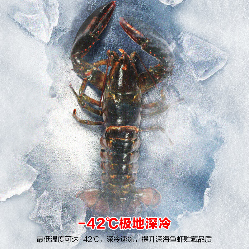 Ronshen 715L single-temperature home-business dual-use freezer refrigerator PCM liner-42 ice-blocked fresh computer temperature-controlled large-capacity freezer BD/BC-715ZEL/RX