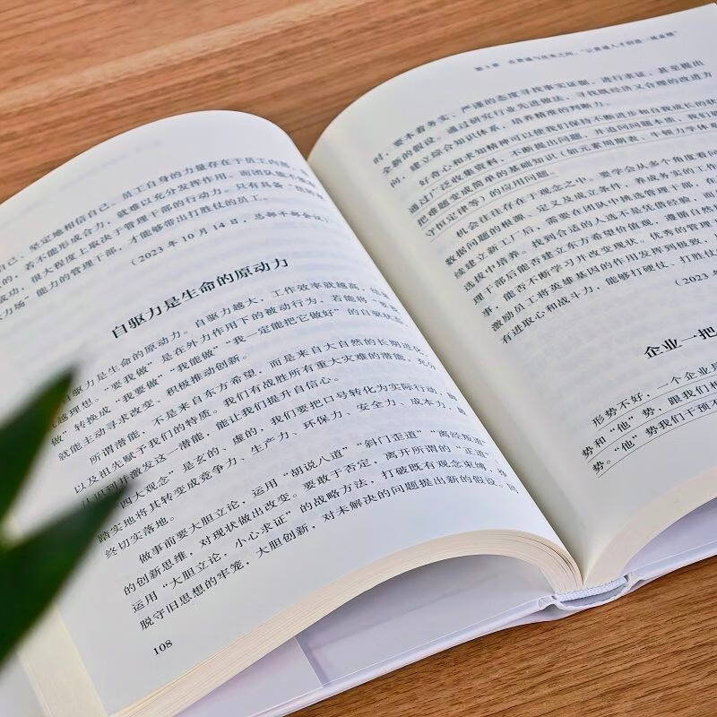 The Greatest Way to Purity Liu Yongxing’s Management Experience Hardcover Edition Four Major Concepts Correct Concepts are the First Productive Force Wang Linnong Oriental Hope has experienced zero losses in 43 years