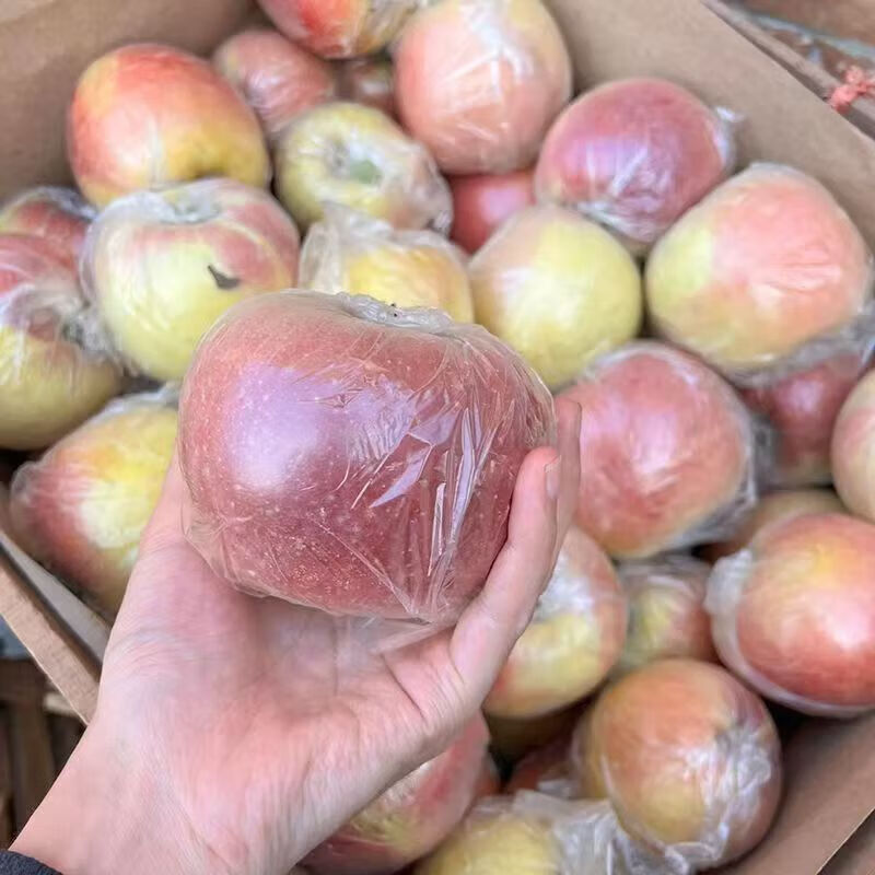 Fuji Apple Crisp and Sweet Shanxi Red Fuji Yuncheng Apple Linyi Fuji Film Bag Red Fuji Crisp, Sweet and Juicy (70mm+) With Box 1 Jin Net Weight 0.8