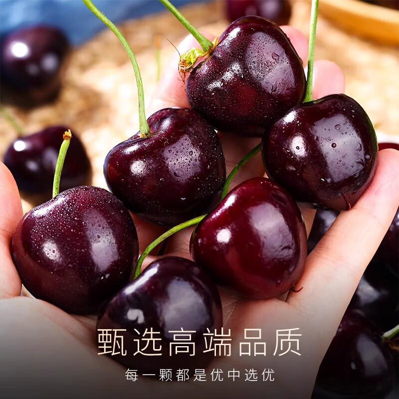 Jingdida Chilean cherries 4J grade imported cherries fresh fruit New Year's gift box gift box 2 pounds 32mm + straight from the source