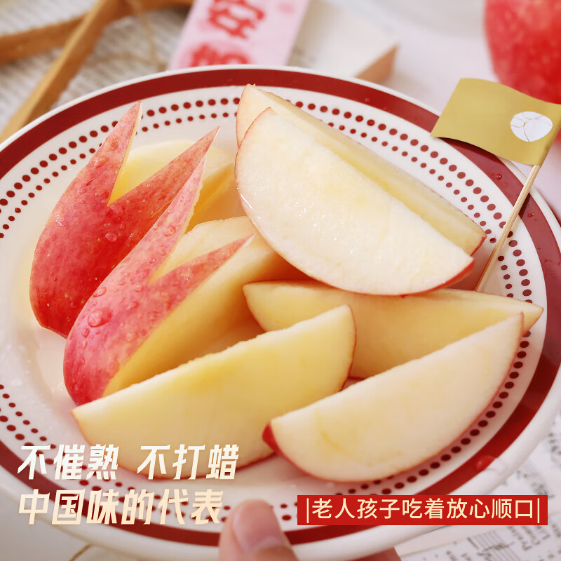 Jingdi Dalochuan Apple Red Fuji Apple Shaanxi Fruit New Year Gift Box 12 Extra Large Fruits 7 Jin 85mm + Straight from the Source