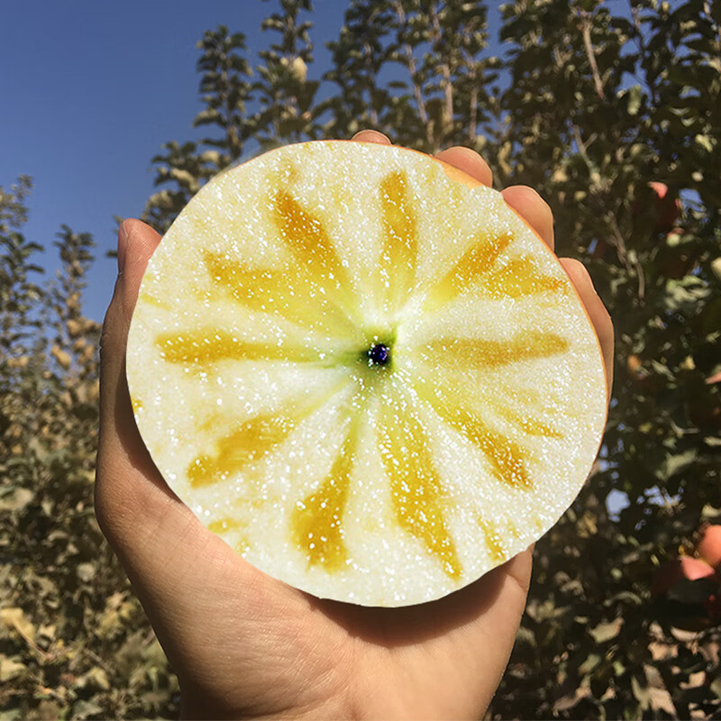 Jingdida Xinjiang Rock Candy Heart Aksu Apple Selected 8kg Extra Large Fruit Fruit Diameter 85mm + Direct Shipping from Source