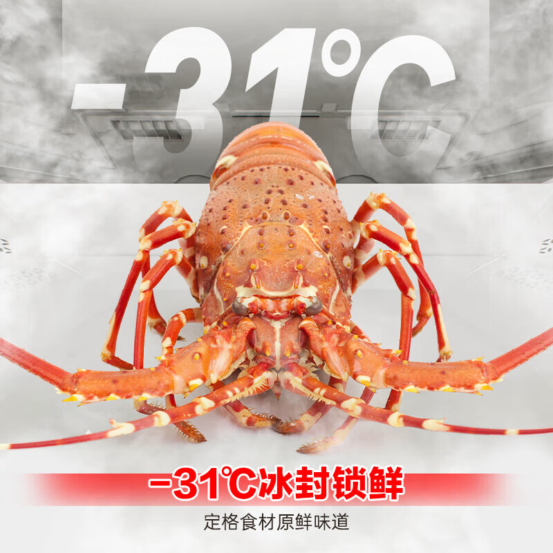 Rongsheng 526 upgraded model Ares 572L cross-door refrigerator large capacity dual system ultra-thin zero embedded first-level energy efficiency frost-free BCD-572N40CQLAD national subsidy BCD-572N40CQLAD gray