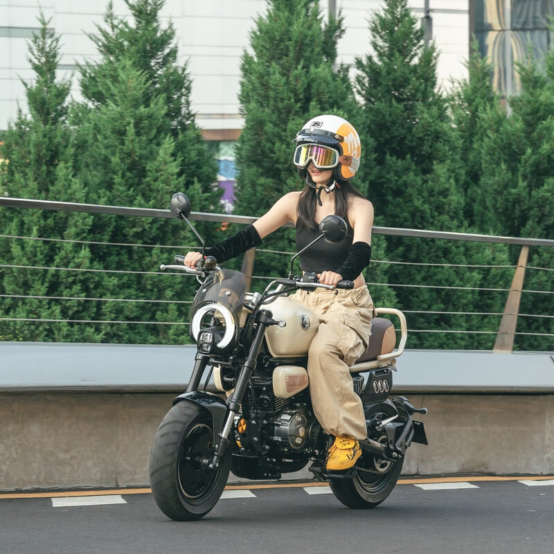 Zongshen Bear 150 Dundun fuel motorcycle trendy ride for men and women novice entry-level mini street car Time White