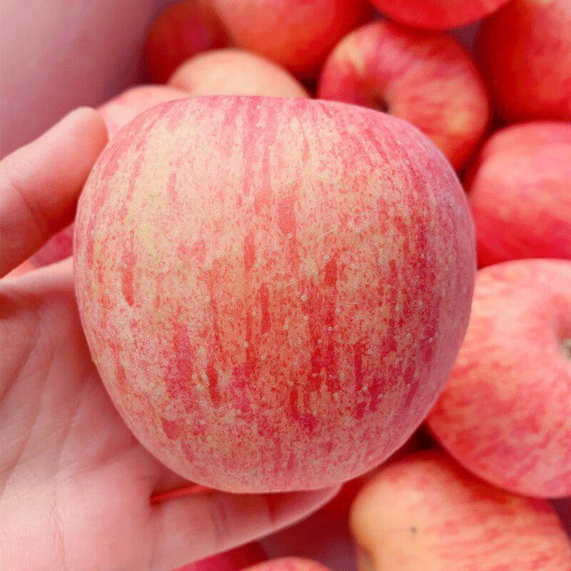 Alpine rock sugar heart red Fuji apple orchard fresh fruit, sour, sweet and delicious, ugly apple, freshly picked, freshly harvested, 9 catties in box, medium fruit 75mm