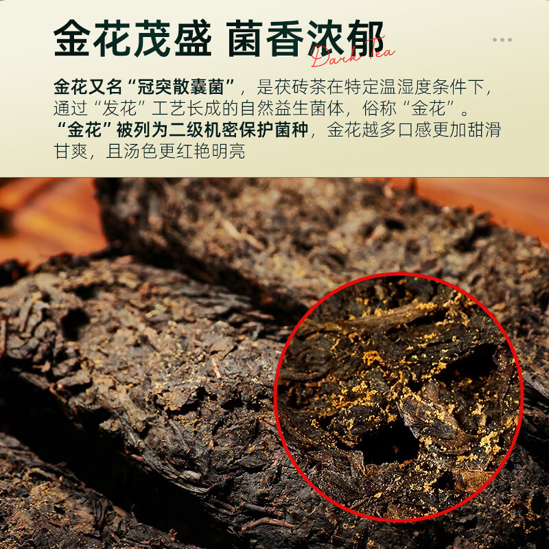 Anhua Dark Tea Authorized by the Tea Association Jinhua Fu Tea 2014 Hunan Specialty Tea Independent Small Packaging Portable Tasting Pack 14g