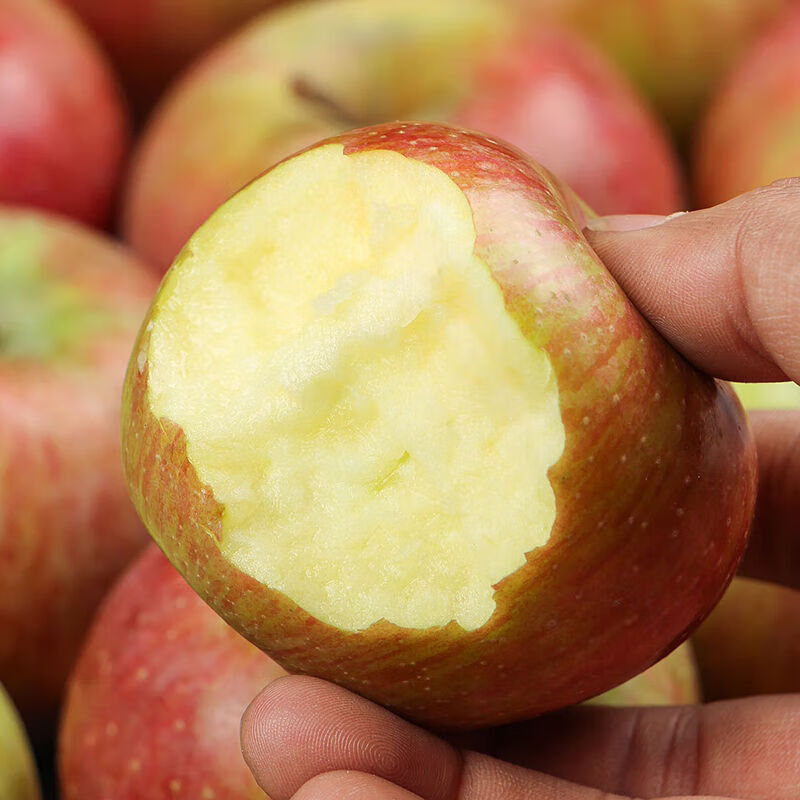 Fresh small Guoguang apple Northeastern authentic old tree Guoguang apple sour and sweet seasonal fruit for pregnant women 5 pounds of large fruit with box