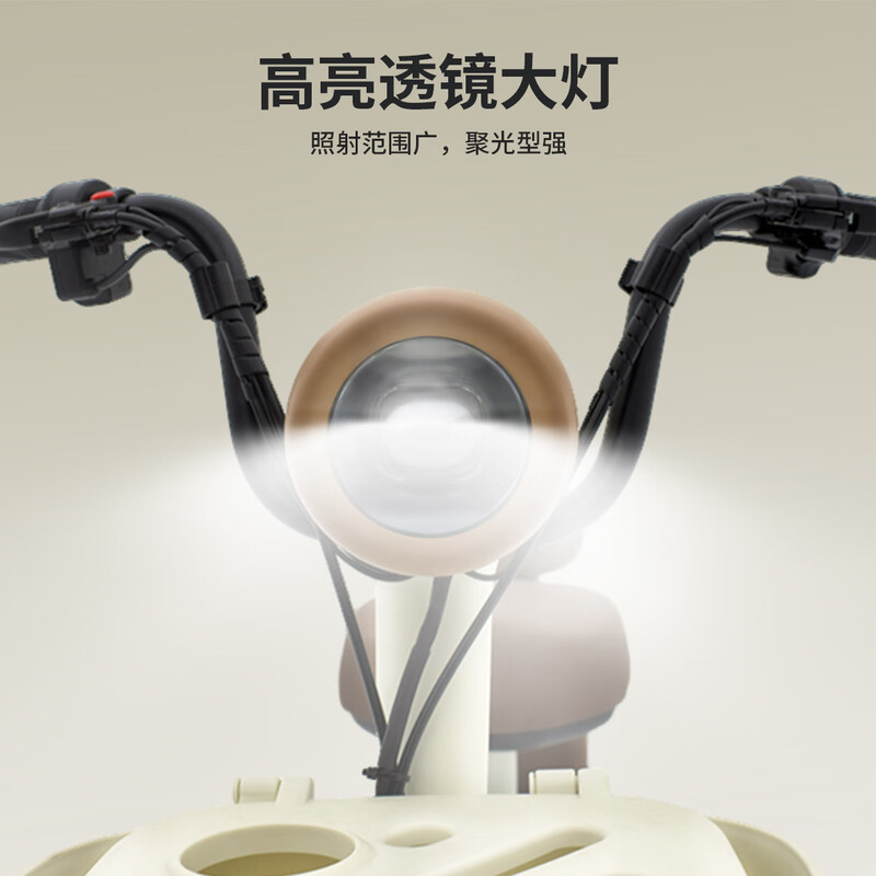 Tailing Electric Bike Store Pickup Xindaguoli Electric Bike New New National Standard Licensed Battery Bike Adult Transportation Electric Bike Please go to the store to choose the color