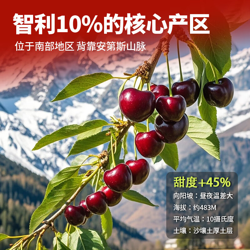 Meiyuexian champion quality Chilean cherries gift box imported cherries, gift group purchase, SF part next day delivery, 5 catties (net weight), pre-sale original box without unpacking to keep fresher, Big Mac 3J, single fruit 10-12g